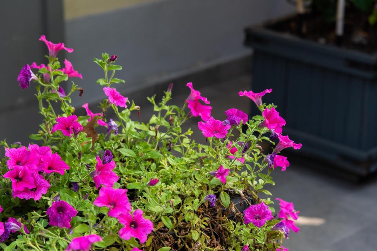 La Fonderia Firenze Bed & Breakfast Ngoại thất bức ảnh